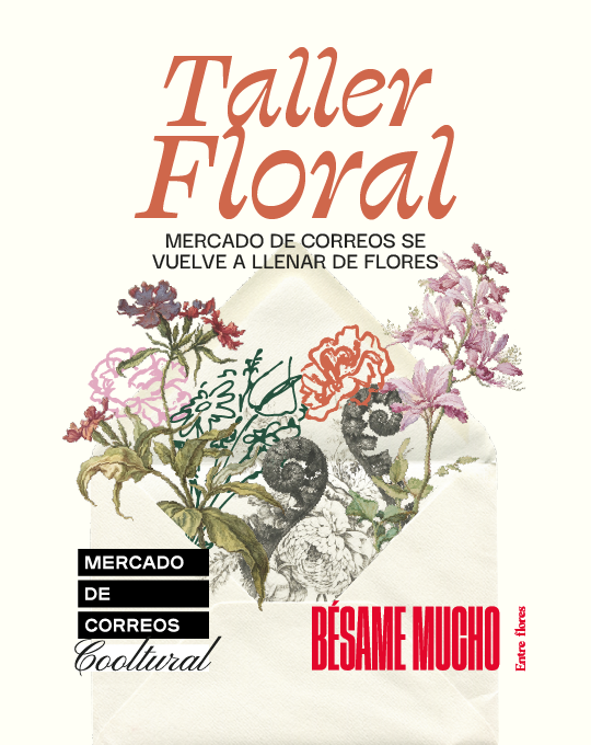 TARJETA WEB 6